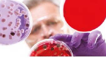 Injections of fillers for cosmetic treatment can open the door to bacteria 