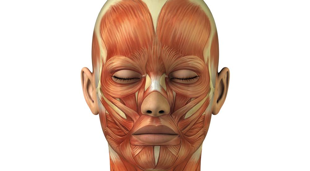 Face, Eyes and Nose Conference to be held in May