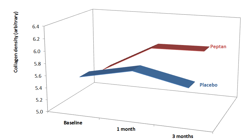 Study highlights efficacy of collagen peptide intake on the restructuring of deep skin layers