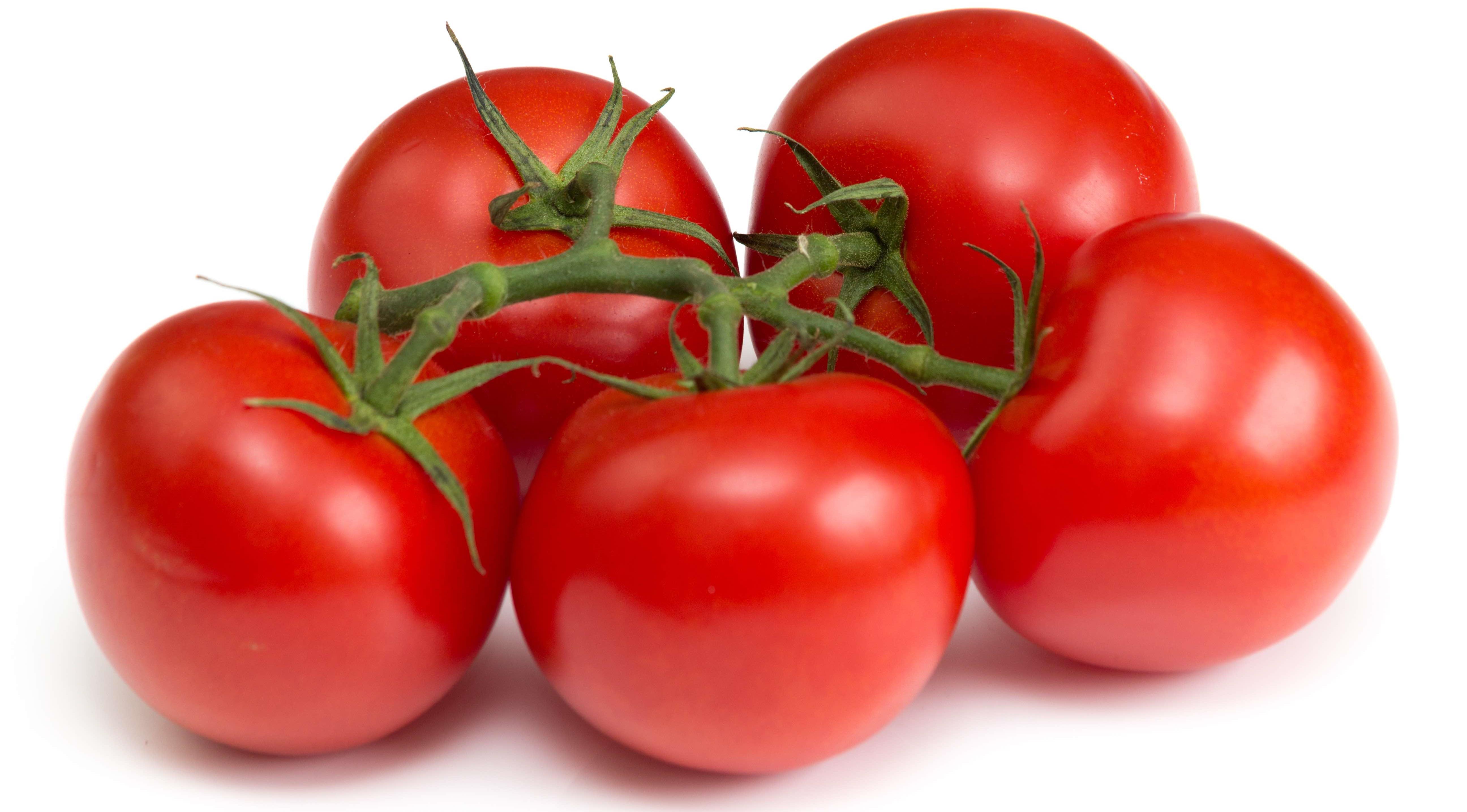 Tomatoes found to protect against sun damage at a molecular level