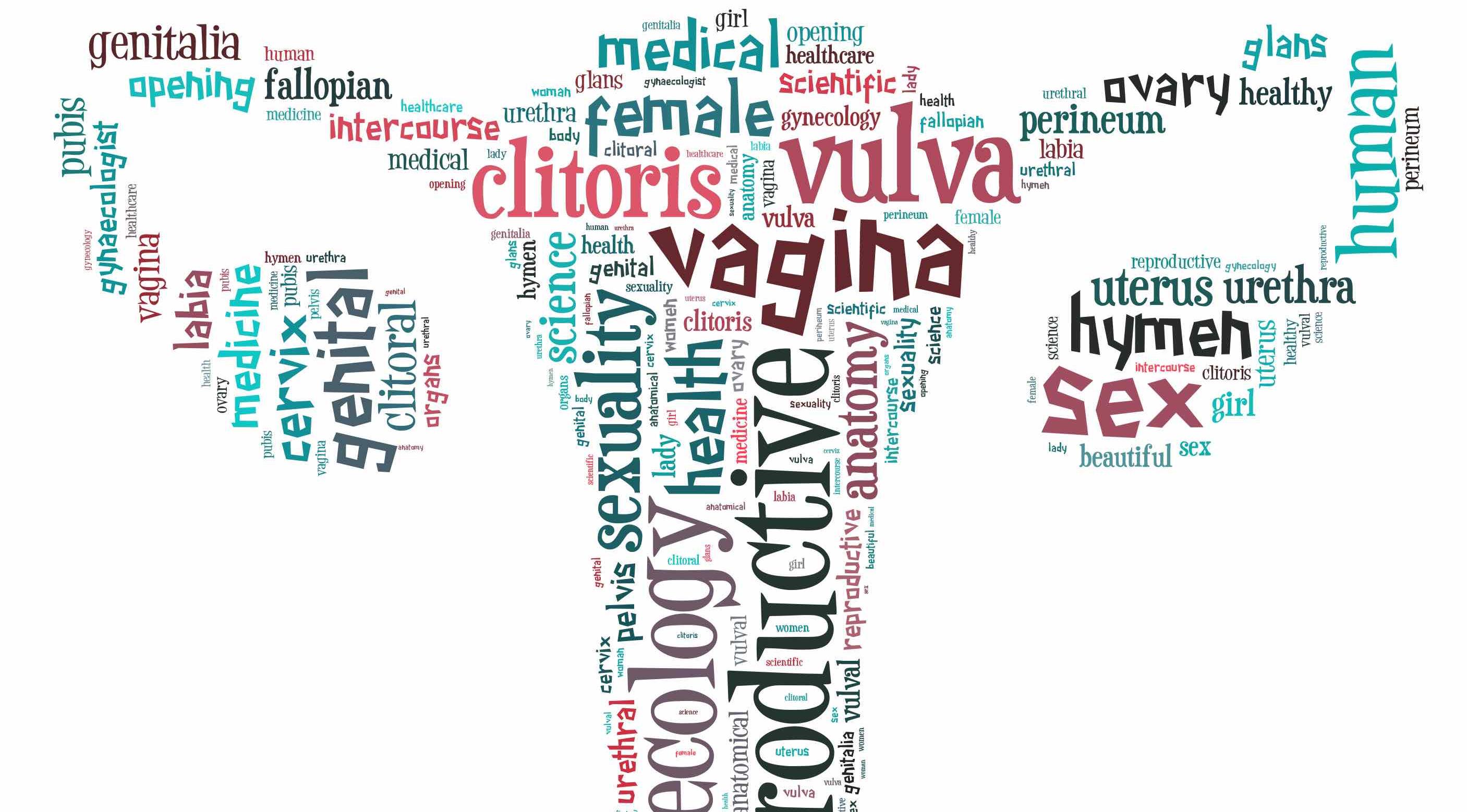 Viewing images of vulva diversity could strengthen women’s genital self-image