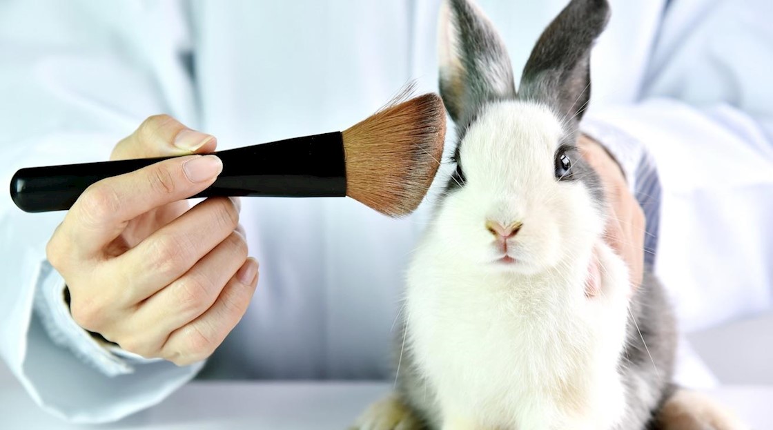 85% of Brits against the reintroduction of animal testing for cosmetics in the UK