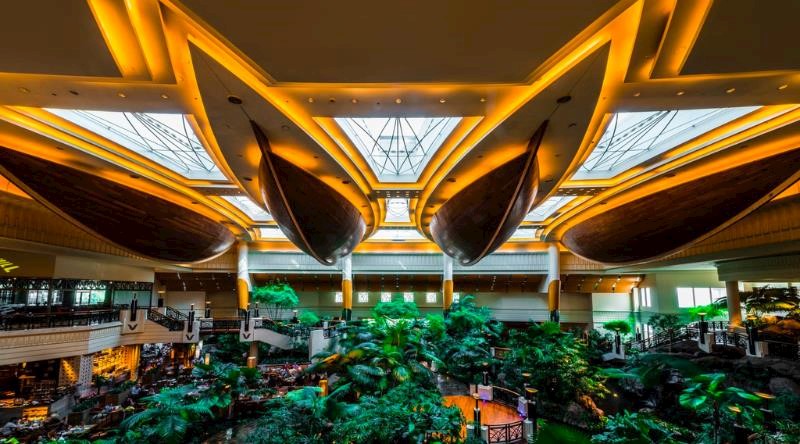 Grand Hyatt Dubai successfully transitions to a paperless environment, paving the way for a greener tomorrow