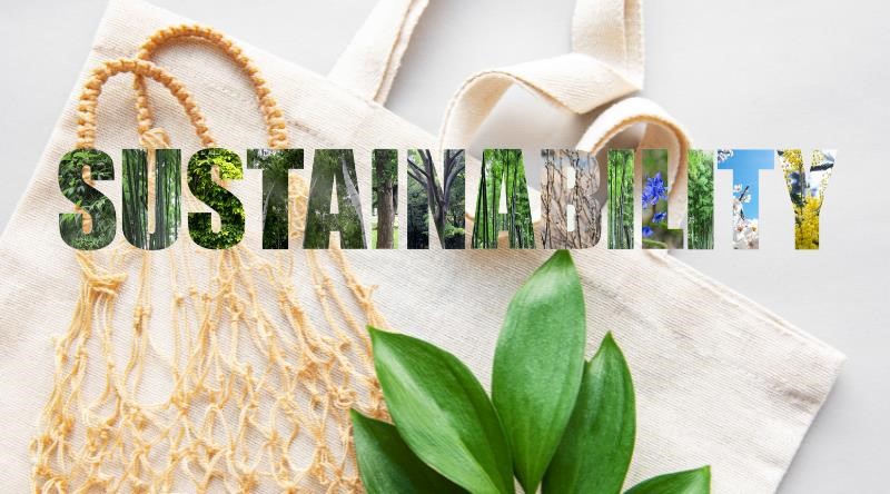 Sustainability: Why it makes good business sense