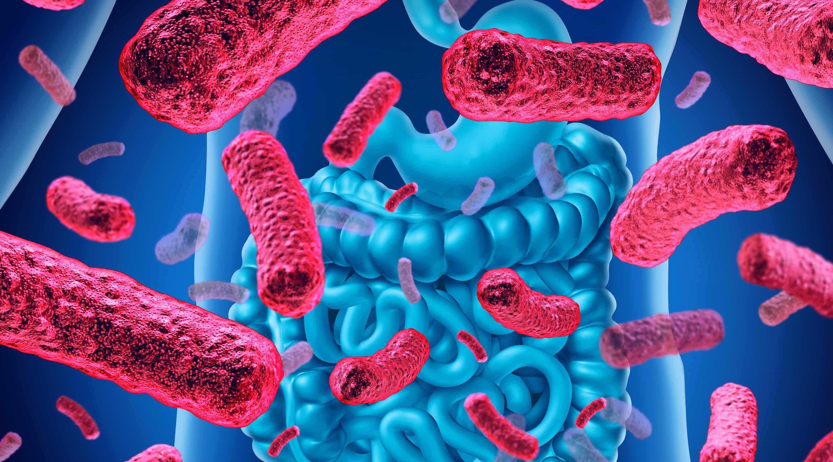 Early gut bacterial colonization may help prevent eczema, research shows