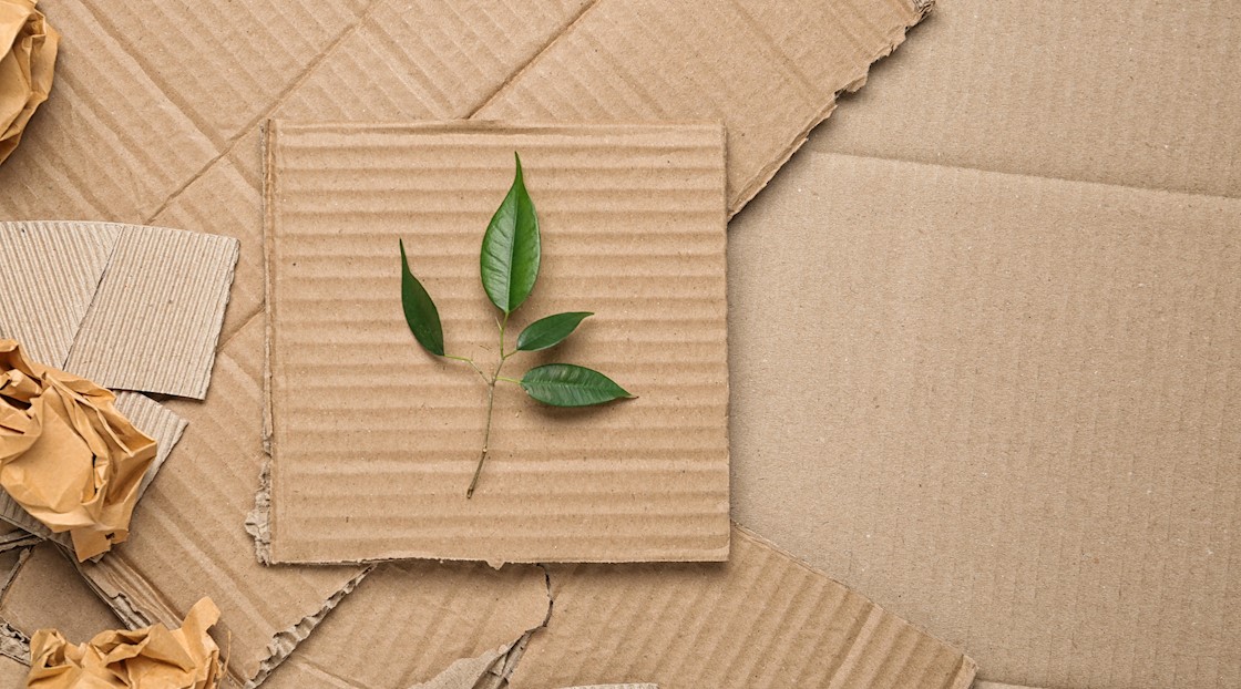 Pretty packaging versus sustainable design