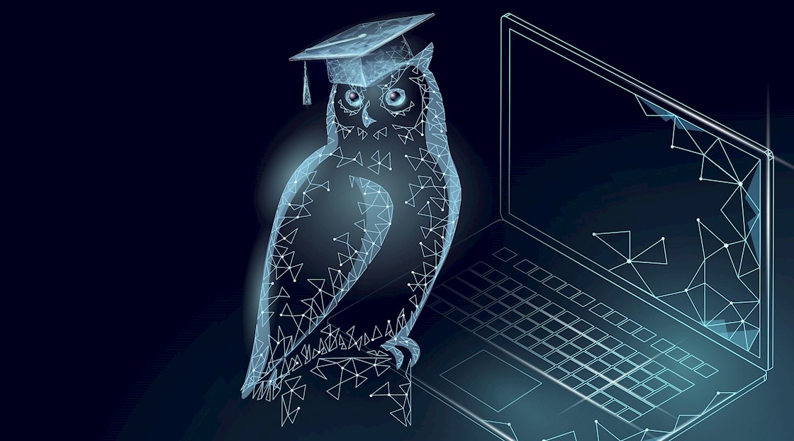 The Two Owls launch an online learning platform
