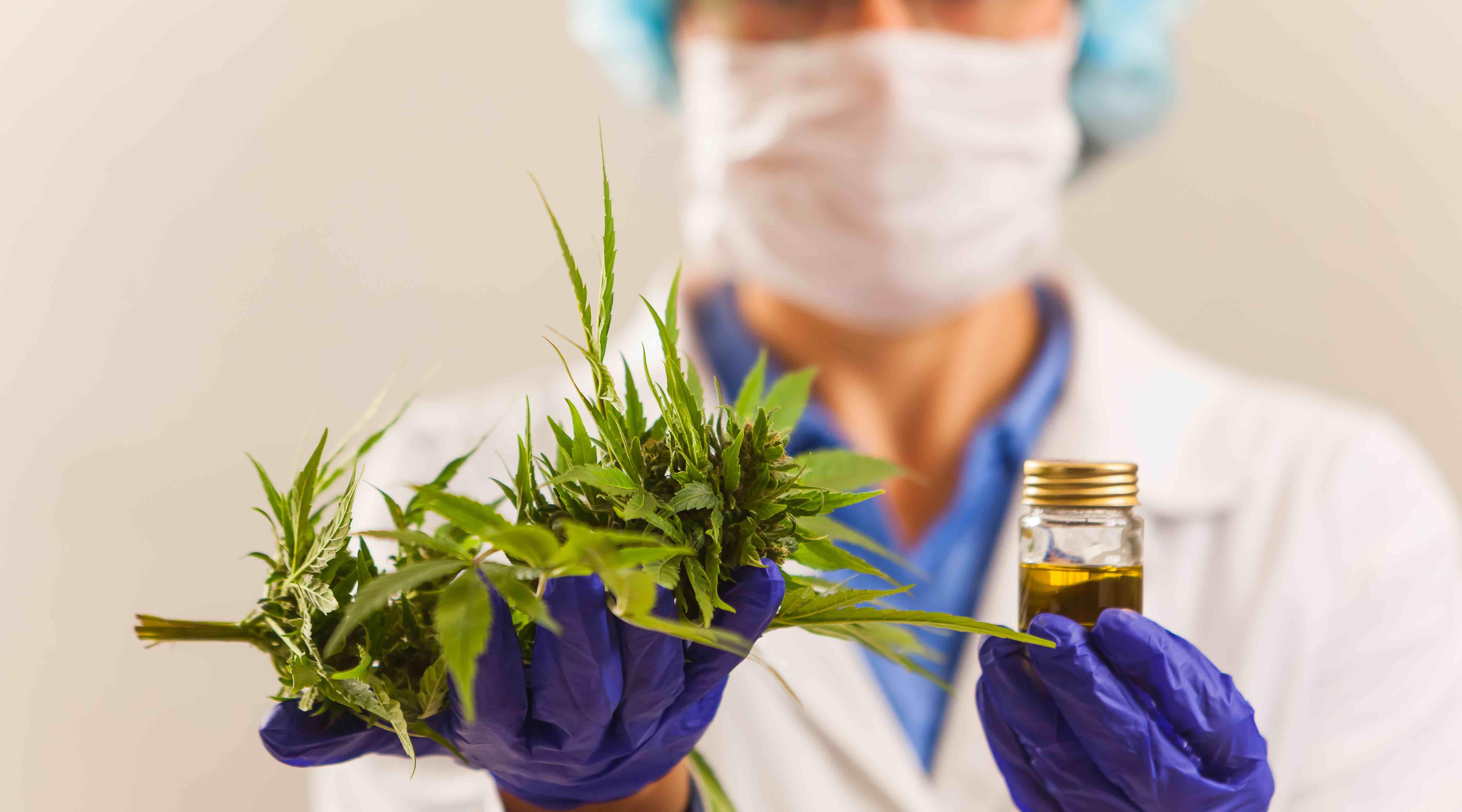 Cannabinoid medications could have an important role in managing a severe genetic skin condition, research shows