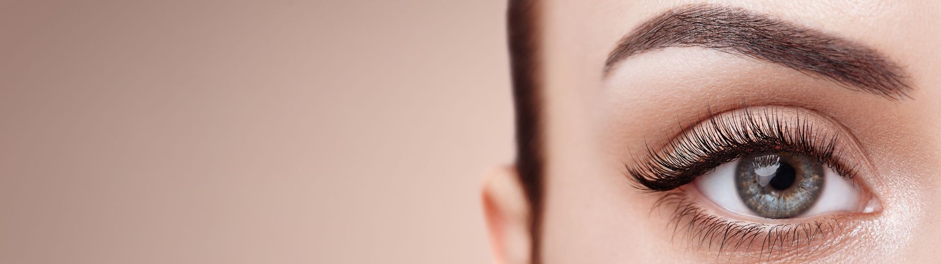 Enter The Lash Championships