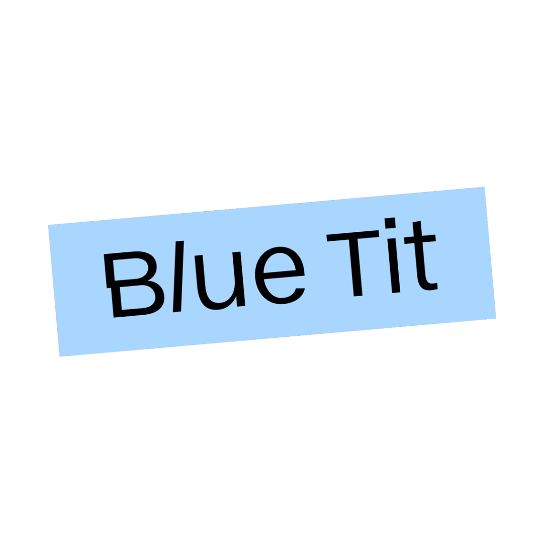 Blue Tit