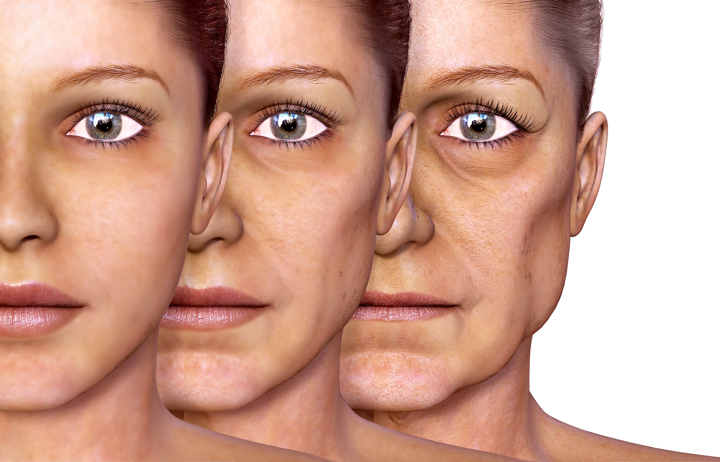 Understanding facial tissue ageing