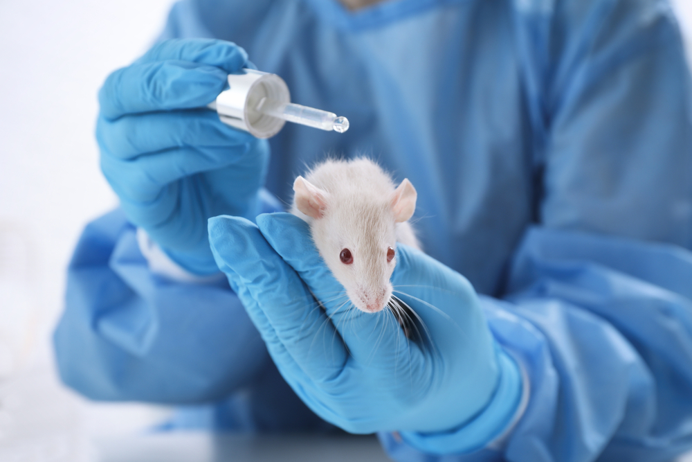 860% rise in breaches of UK lab animal protection laws
