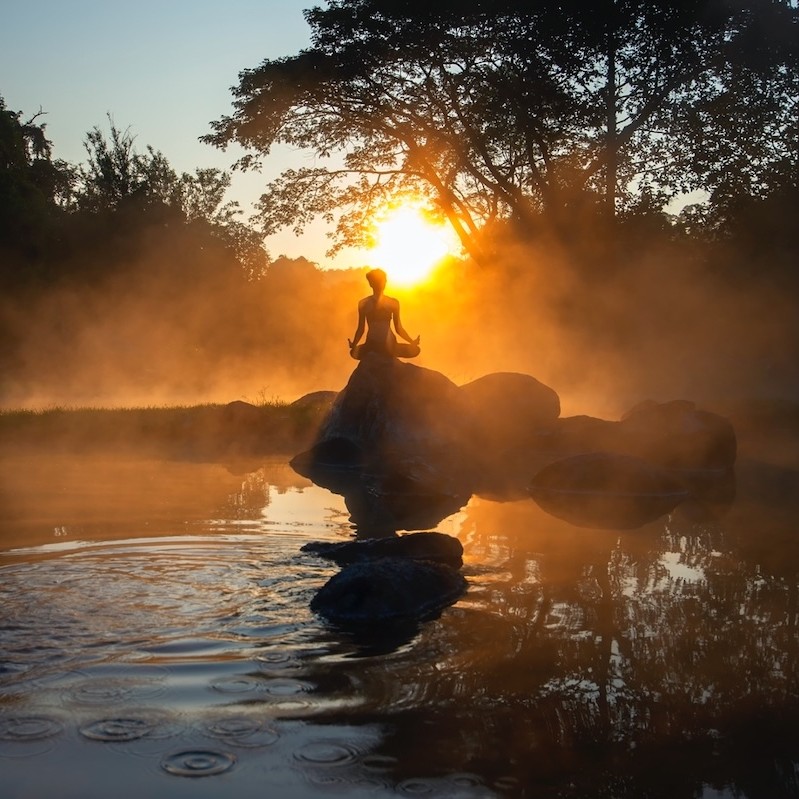 Get recognised as a wellness champion: here's how your business can get involved