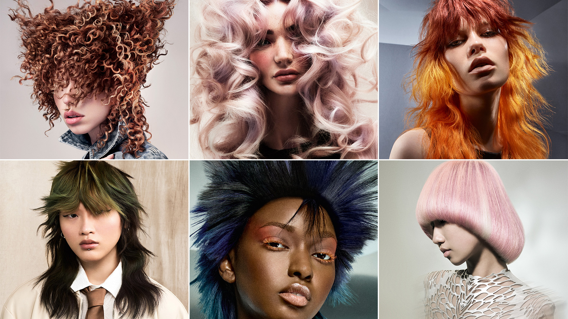 #BHA25 Schwarzkopf Professional British Colour Technician of the Year Finalist Collection
