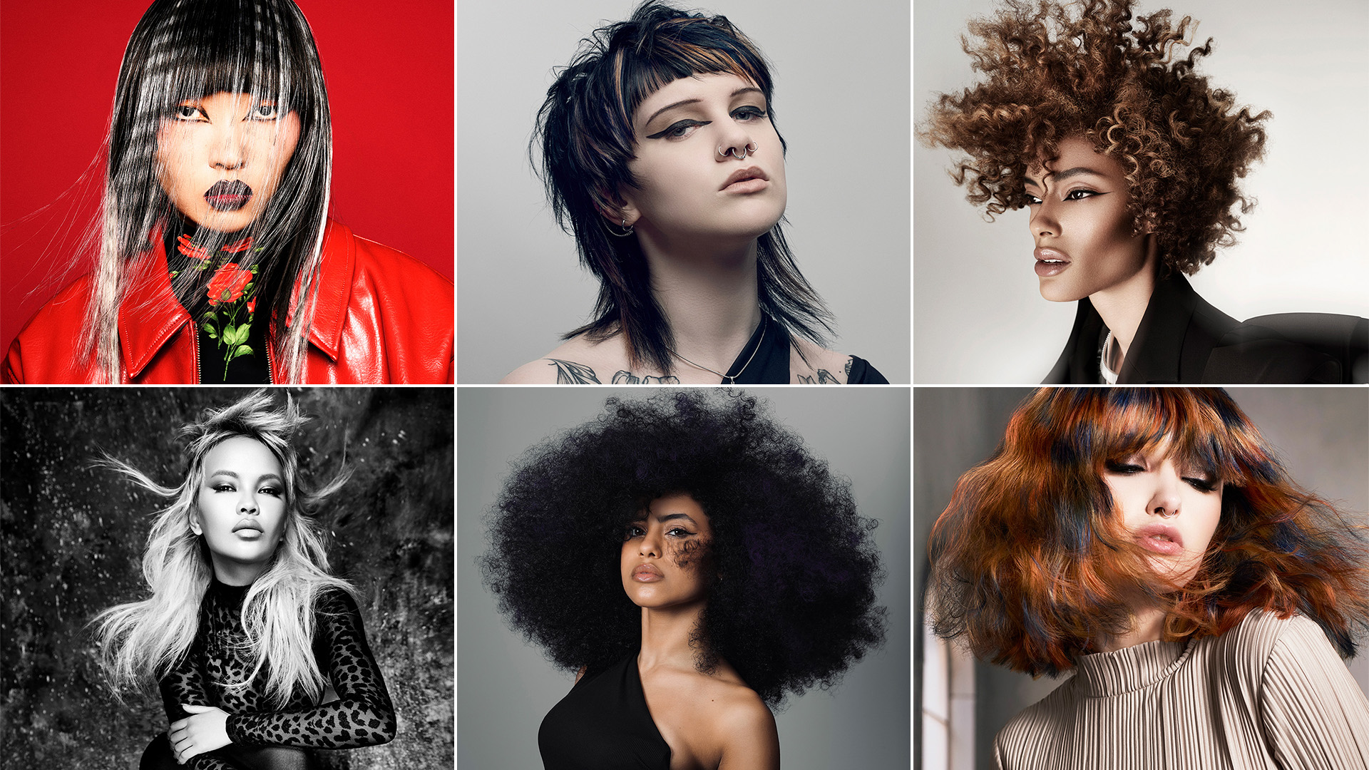#BHA25 North Eastern Hairdresser of the Year Finalist Collections