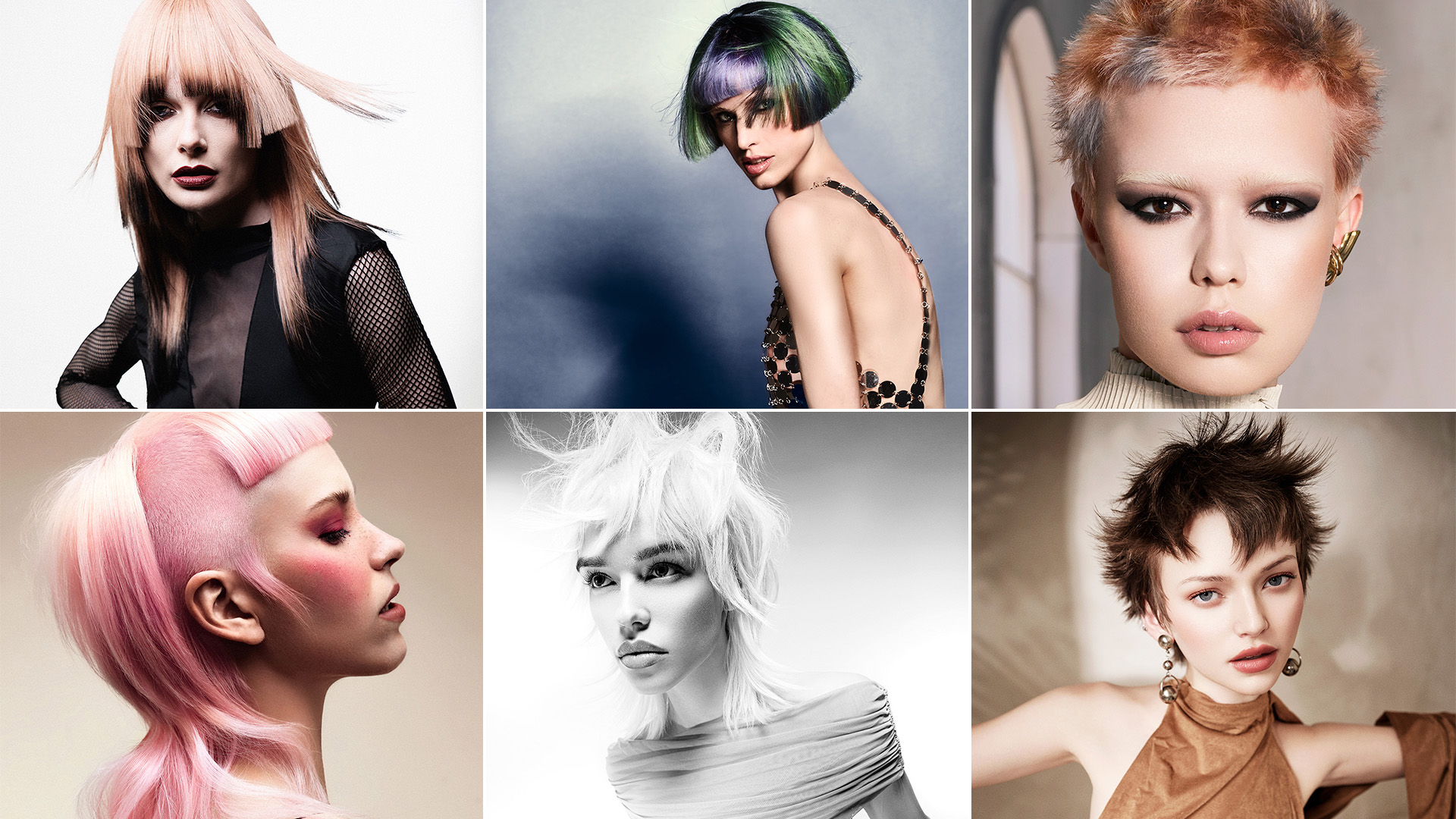 #BHA25 Trend Image of The Year Finalist Images
