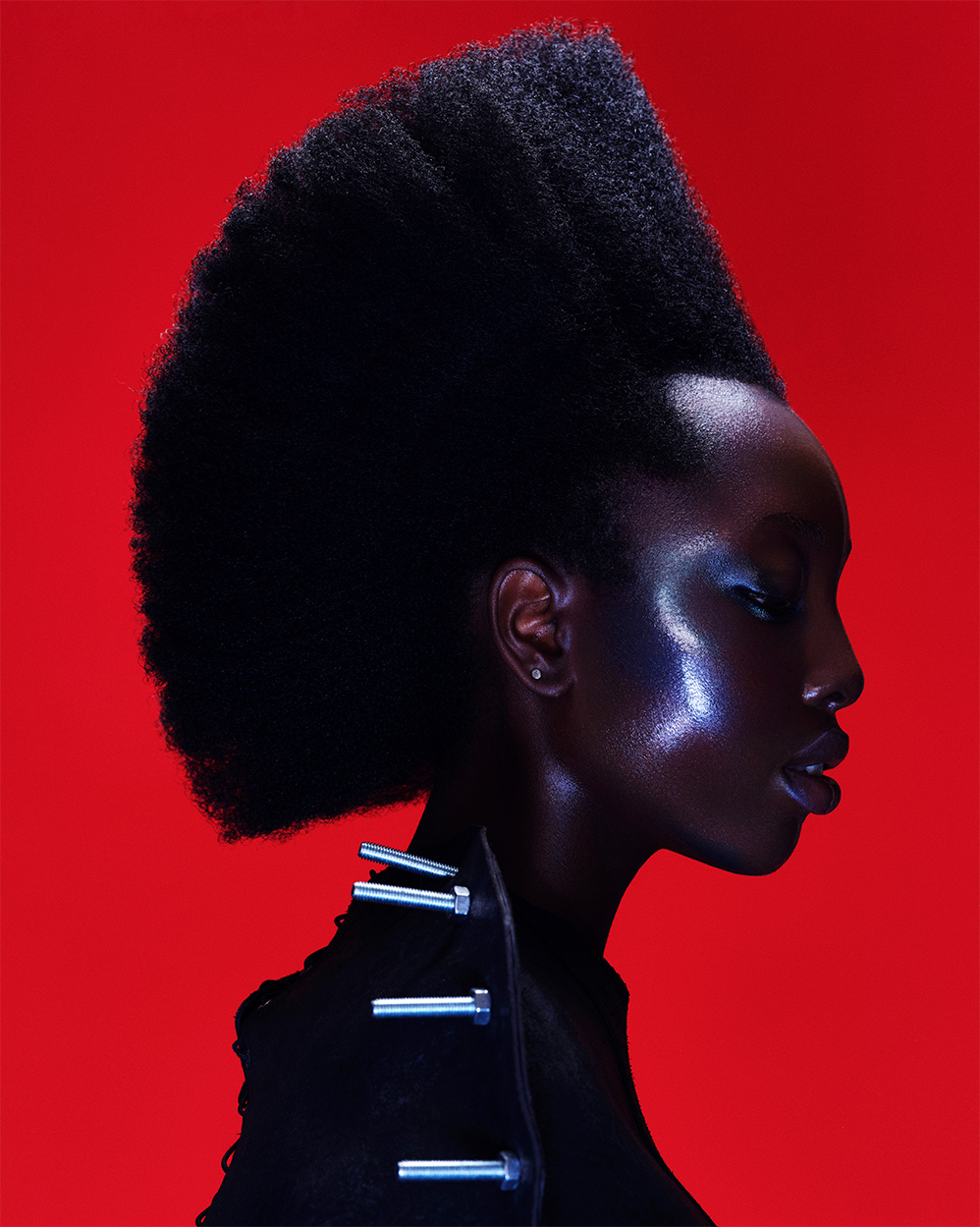 Lisa Farrall - BHA Afro Hairdresser of the Year 2025 - Shaped Geometric Afro 