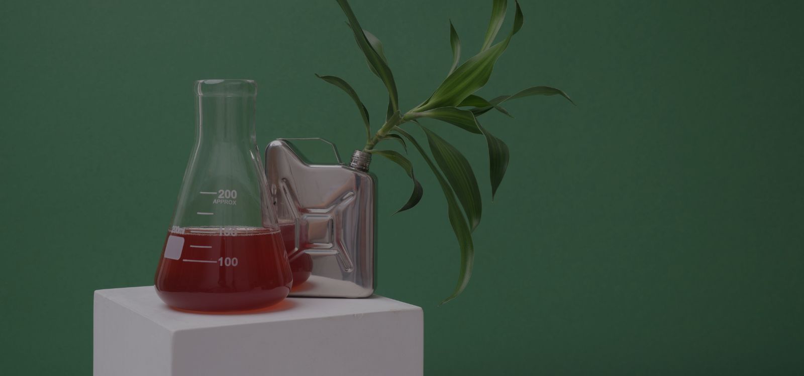 2026: el año del cliente consciente