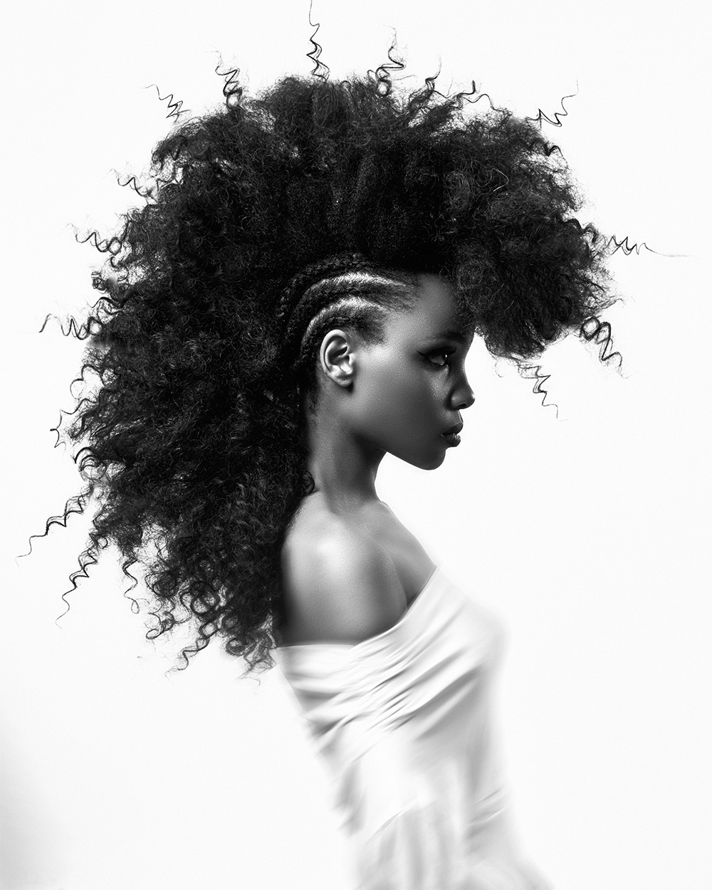 Dodge Mackay Newcomer of The Year 2025 Finalist Collection - Afro Updo with Braids