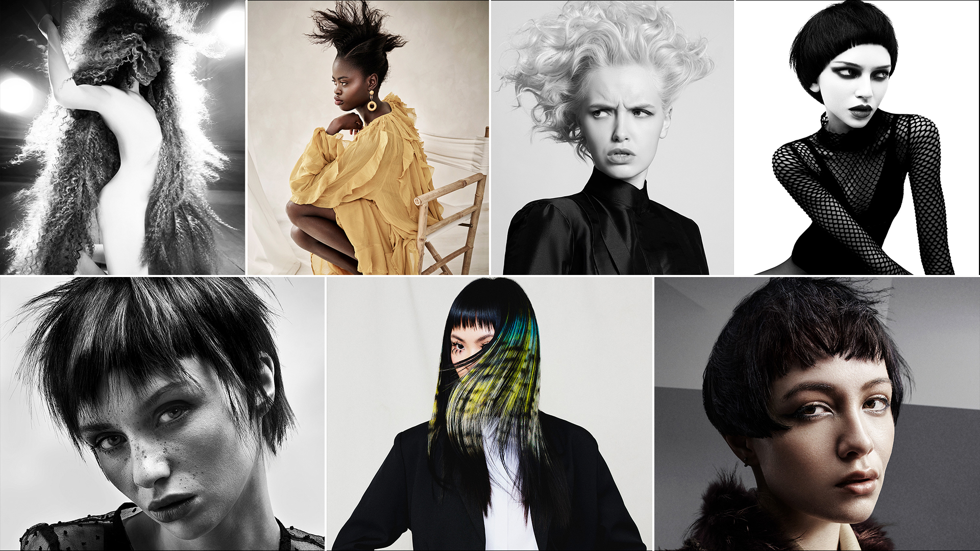 #BHA25 Artistic Team of the Year Finalist Collections