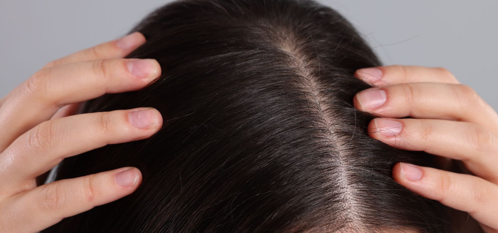 Scalp Wellness: el cuero cabelludo es el nuevo rostro (tendencia clave en peluquería 2026)