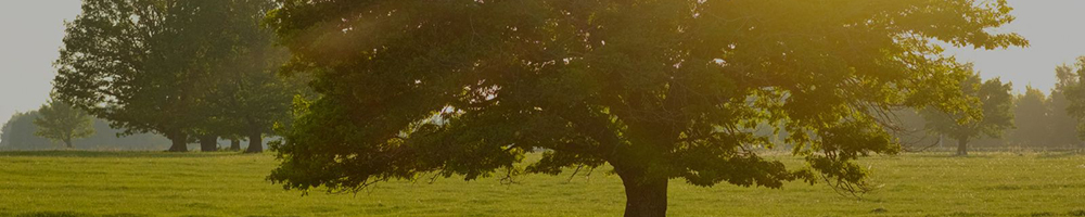 Entrevista a Carmen Silva (Euromonitor International): la longevidad como eje estratégico del futuro de la belleza