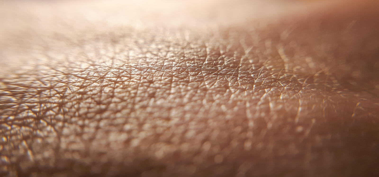 La profesional como intérprete de la piel: leer lo que la piel dice más allá del diagnóstico técnico