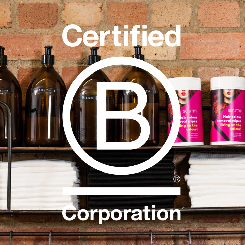 Scrummi Achieves B Corp Recertification: See How They Scored!