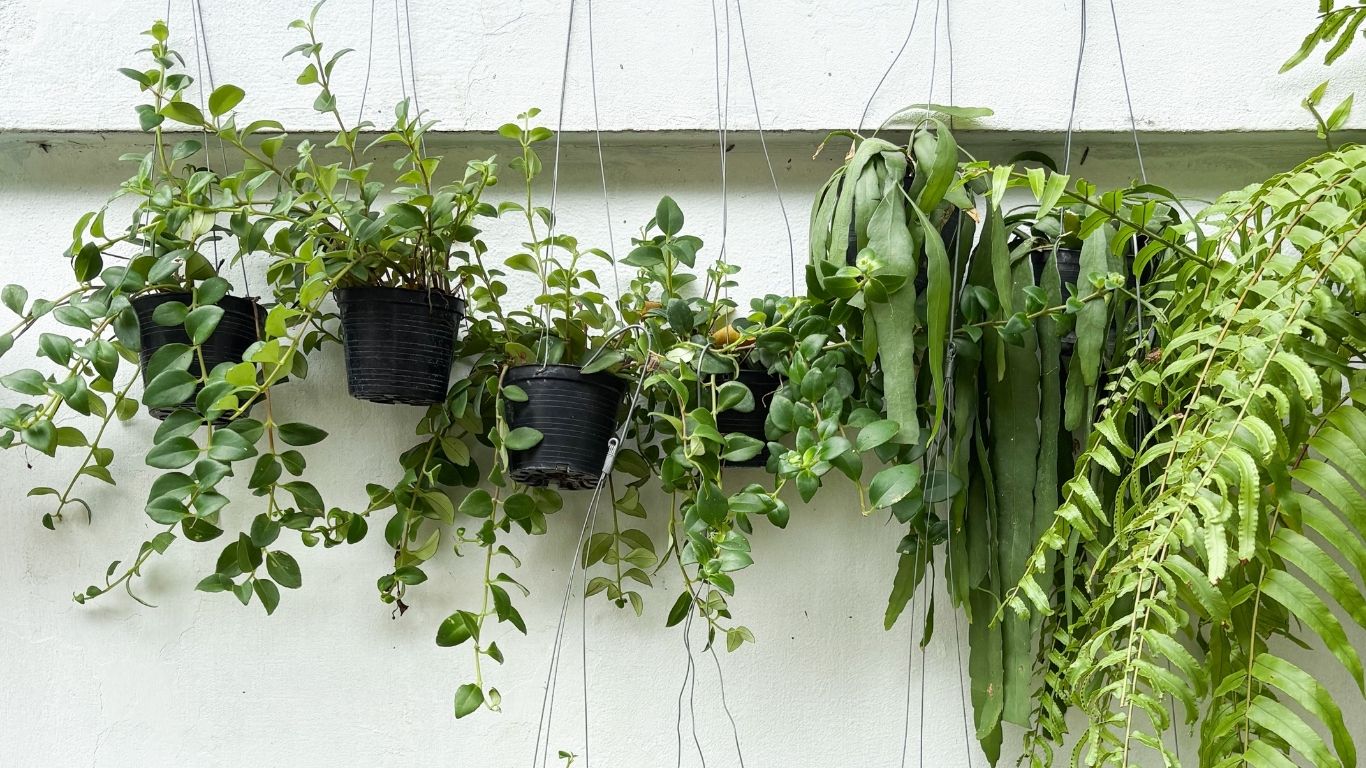 5 eco salons to follow