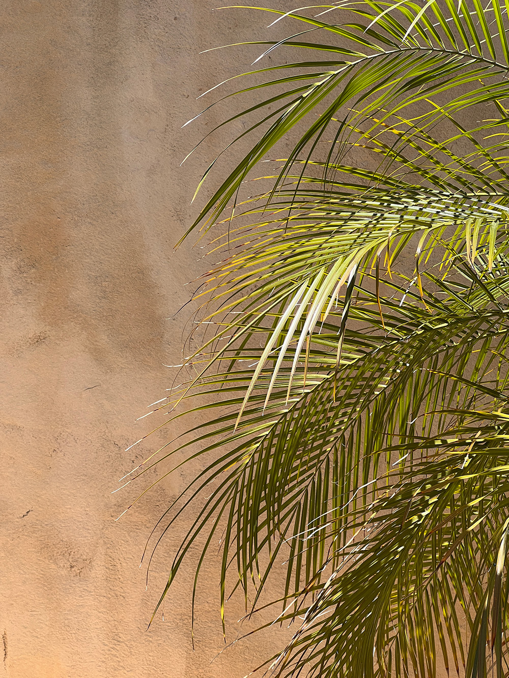 Surprising Ways to Make your Salon More Sustainable