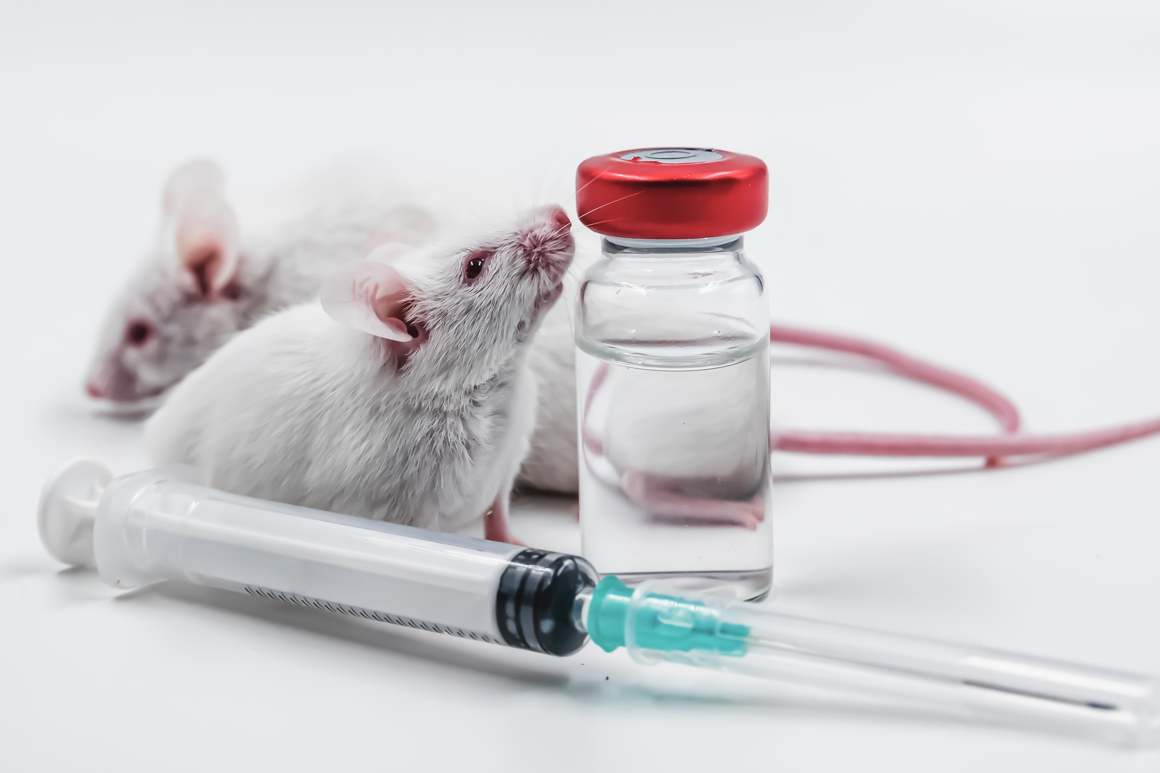 European Pharmacopoeia reactivates plans to phase out mouse test for botulinum toxin testing