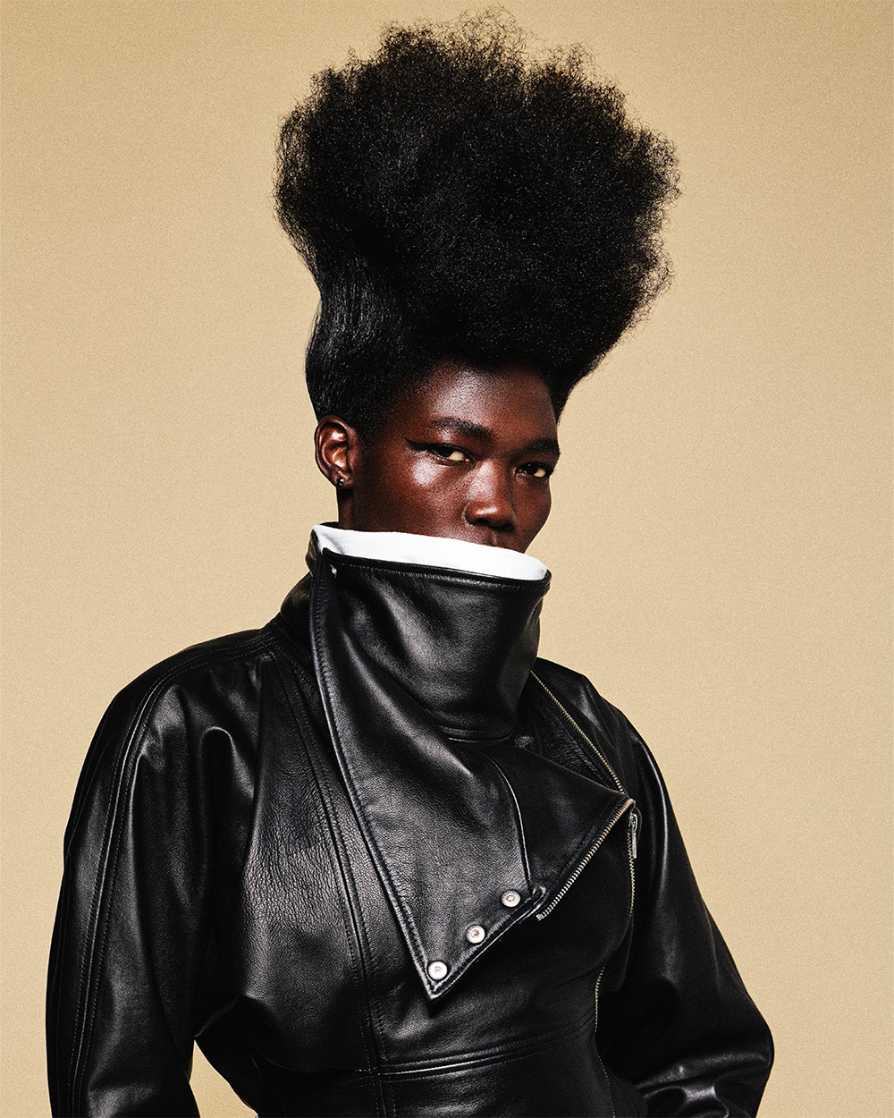 Brushed Up Afro - Pashcanel Mitchell - BHA Afro Hairdresser of the Year 2026 Finalist Collection