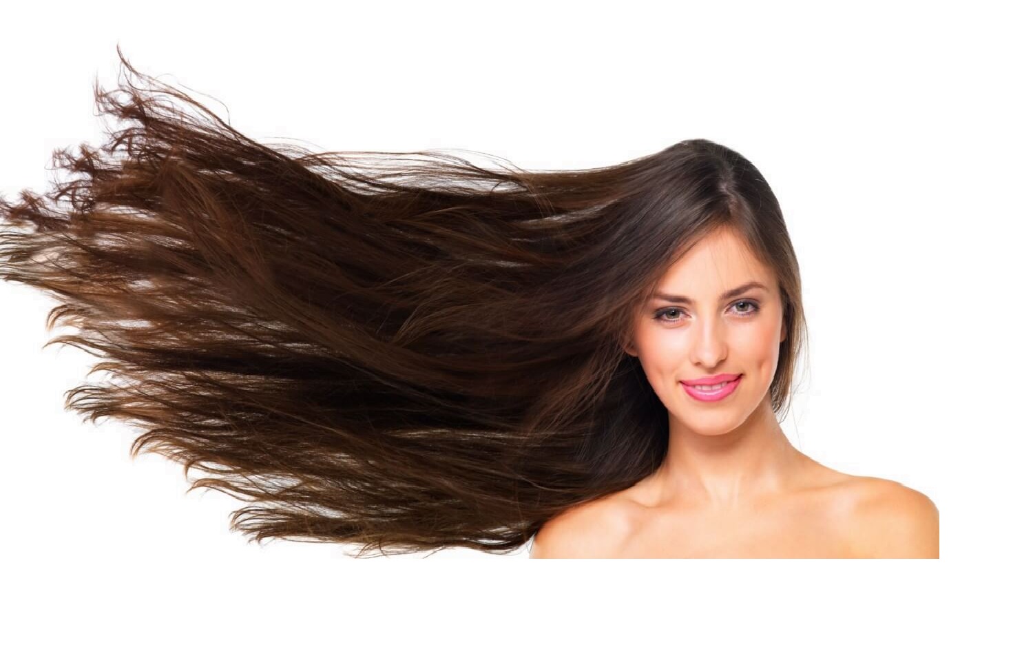 Tratamientos bio y natural: la fuerza de la naturaleza en el cabello